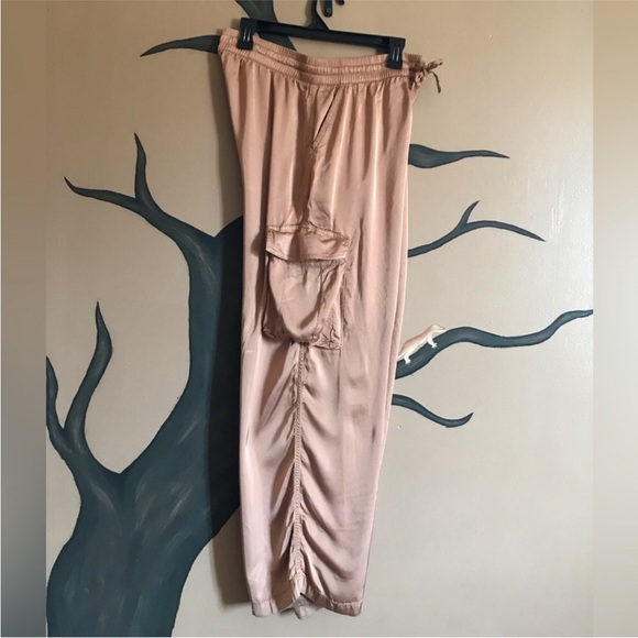 Aerie satin cargo pants - Picture 2 of 9
